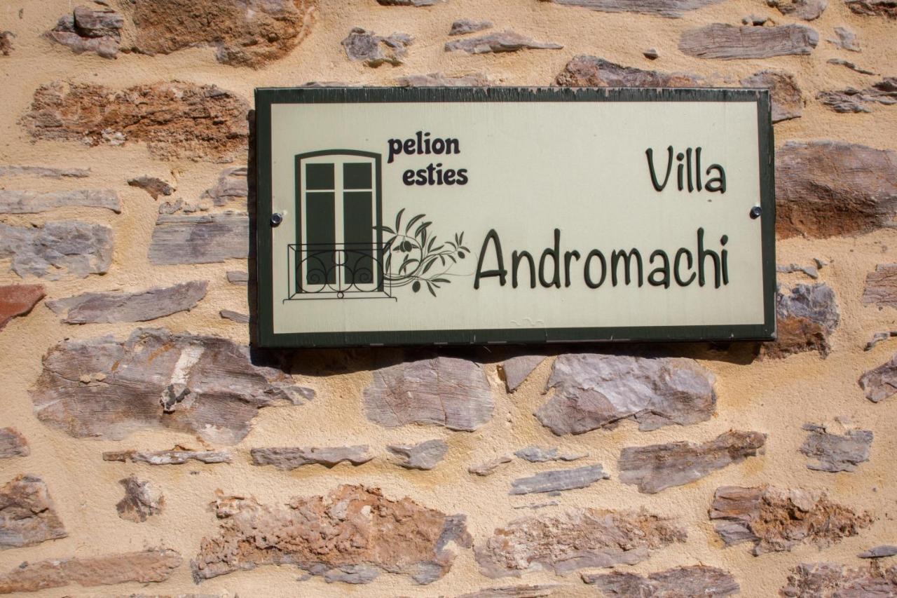 Villa Andromachi By Pelion Esties Ano Gatzea Buitenkant foto